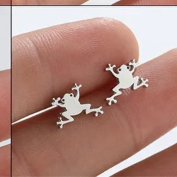 Tiny Hypoallergenic Stainless Steel Frog Earrings - Picture 1 of 1